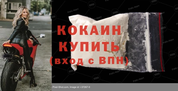 крисы Корсаков