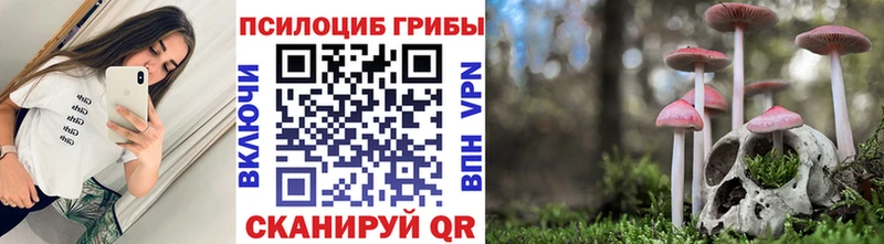 площадка формула  Кировград  Псилоцибиновые грибы Psilocybine cubensis 